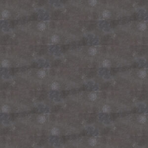 Fossil - Image 4