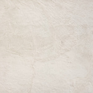 Liquid Shell - Image 3